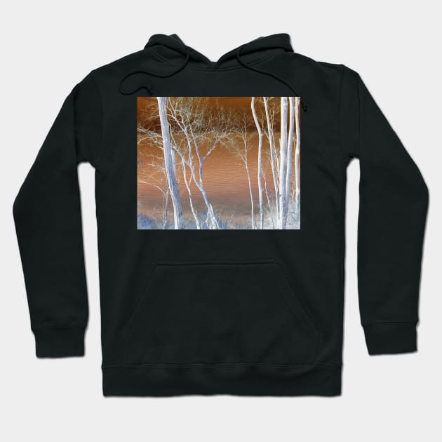 Lake Michigan Through the Trees Hoodie by aldersmith
